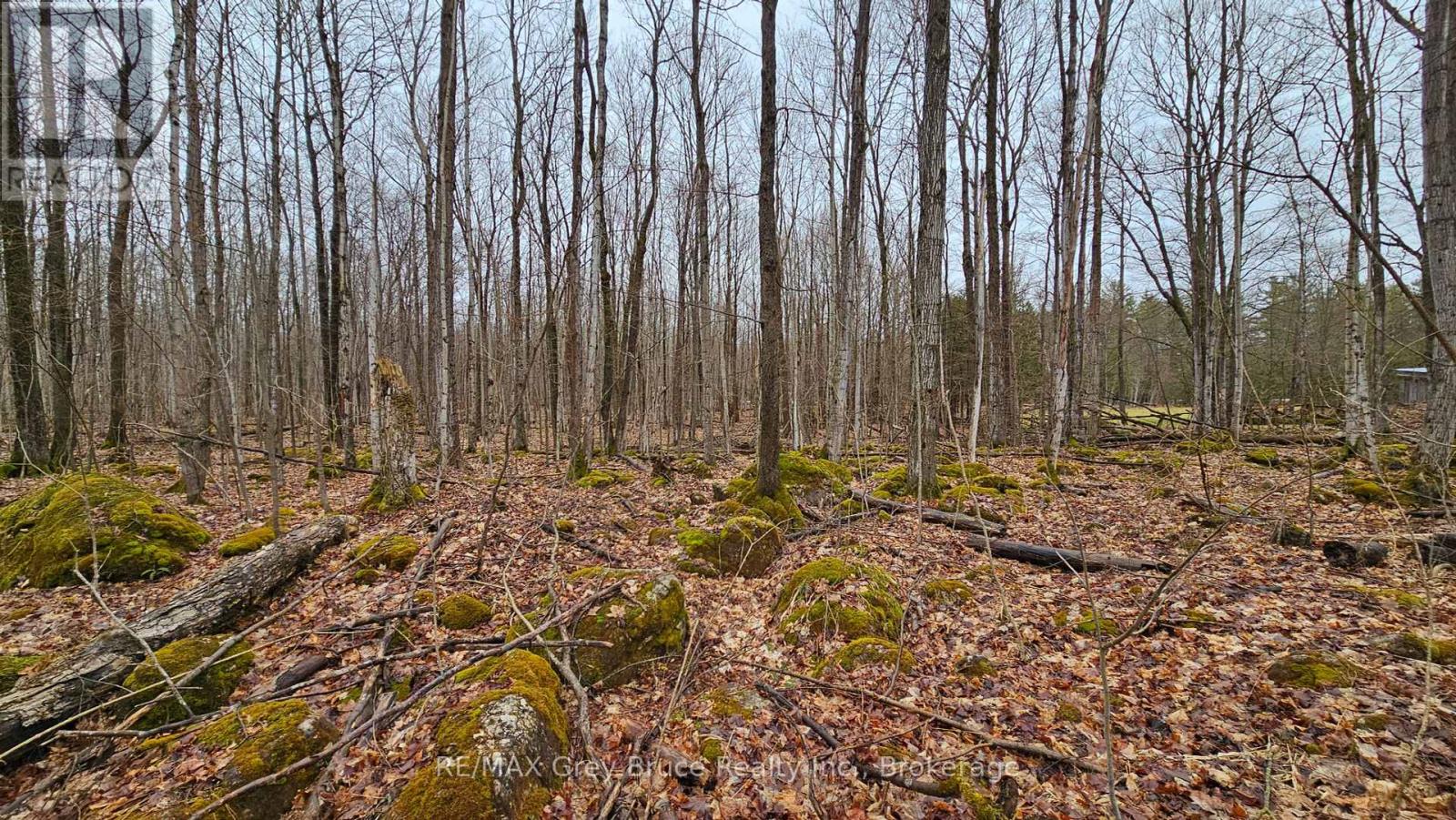 Pt Lt 15 Concession Rd 21 Road, Georgian Bluffs, Ontario N0H 2T0 - Photo 22 - X12132437