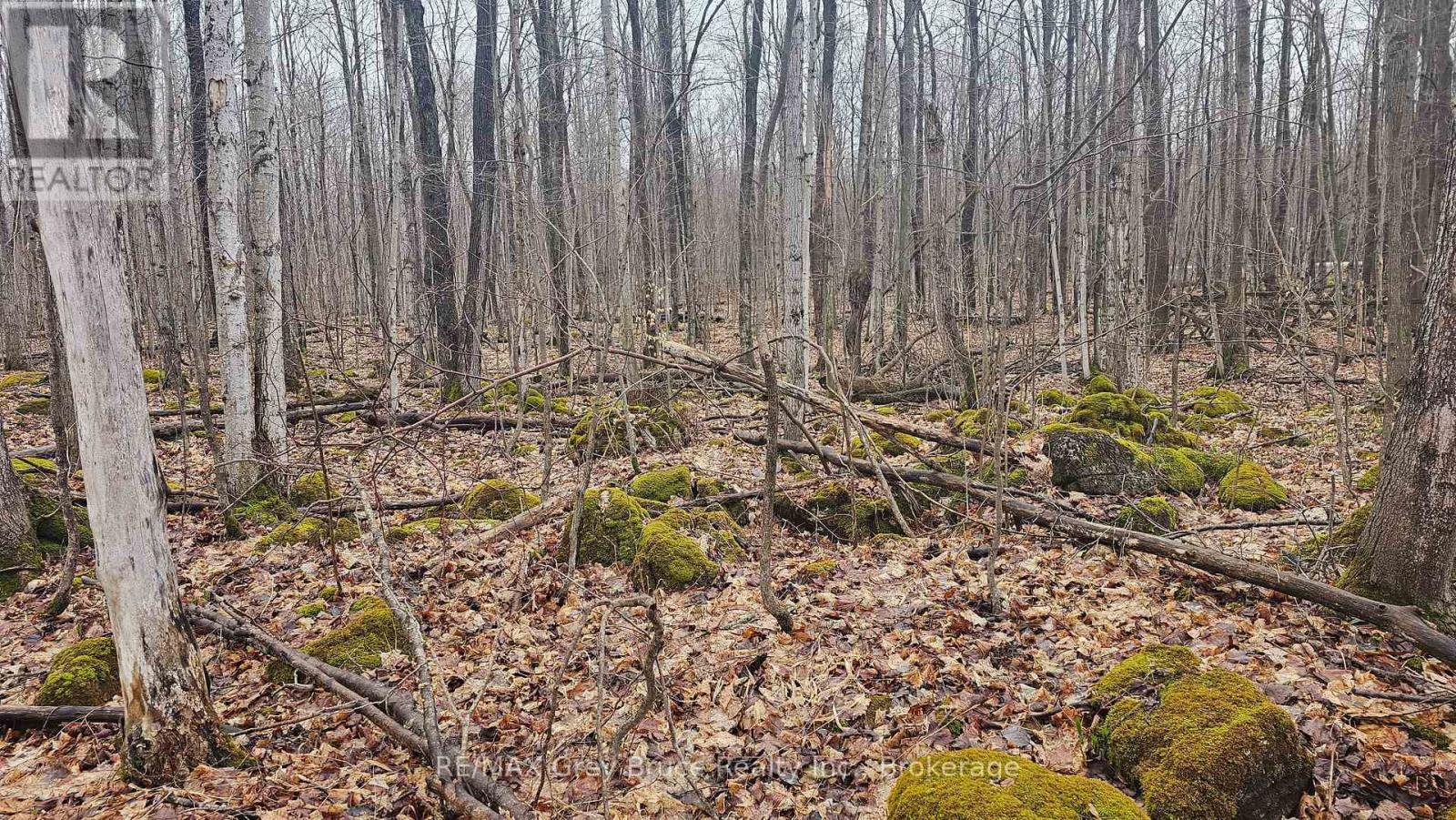 Pt Lt 15 Concession Rd 21 Road, Georgian Bluffs, Ontario  N0H 2T0 - Photo 25 - X12132437