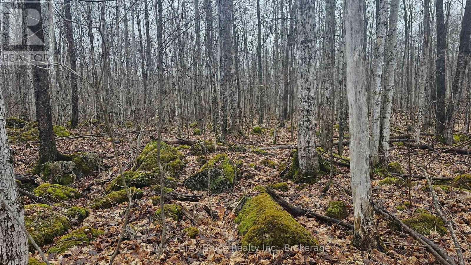 Pt Lt 15 Concession Rd 21 Road, Georgian Bluffs, Ontario  N0H 2T0 - Photo 26 - X12132437
