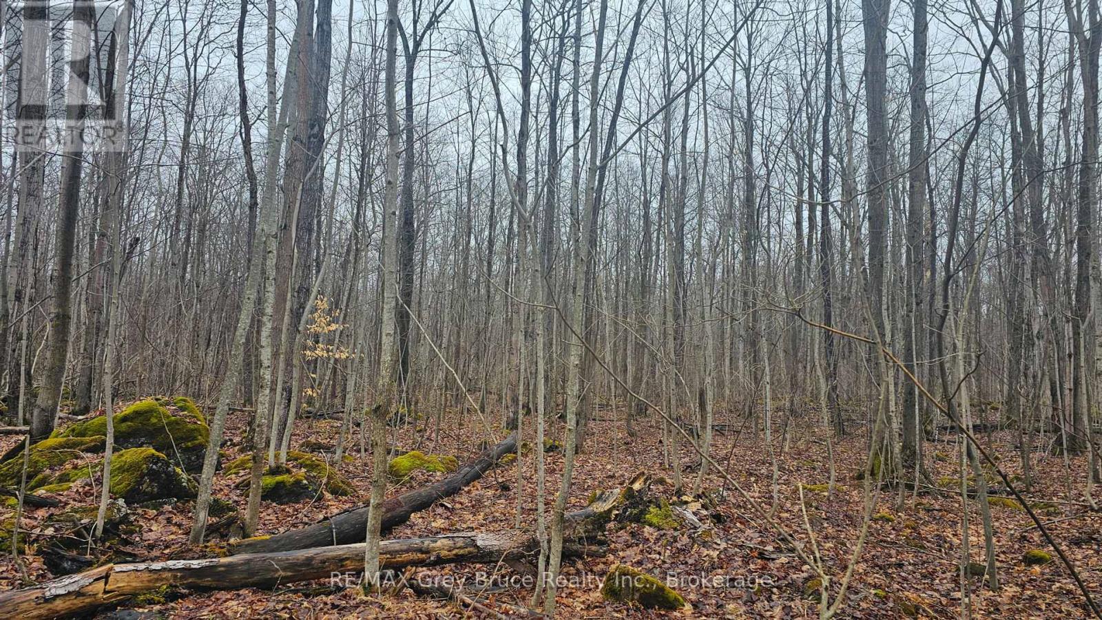 Pt Lt 15 Concession Rd 21 Road, Georgian Bluffs, Ontario  N0H 2T0 - Photo 6 - X12132437