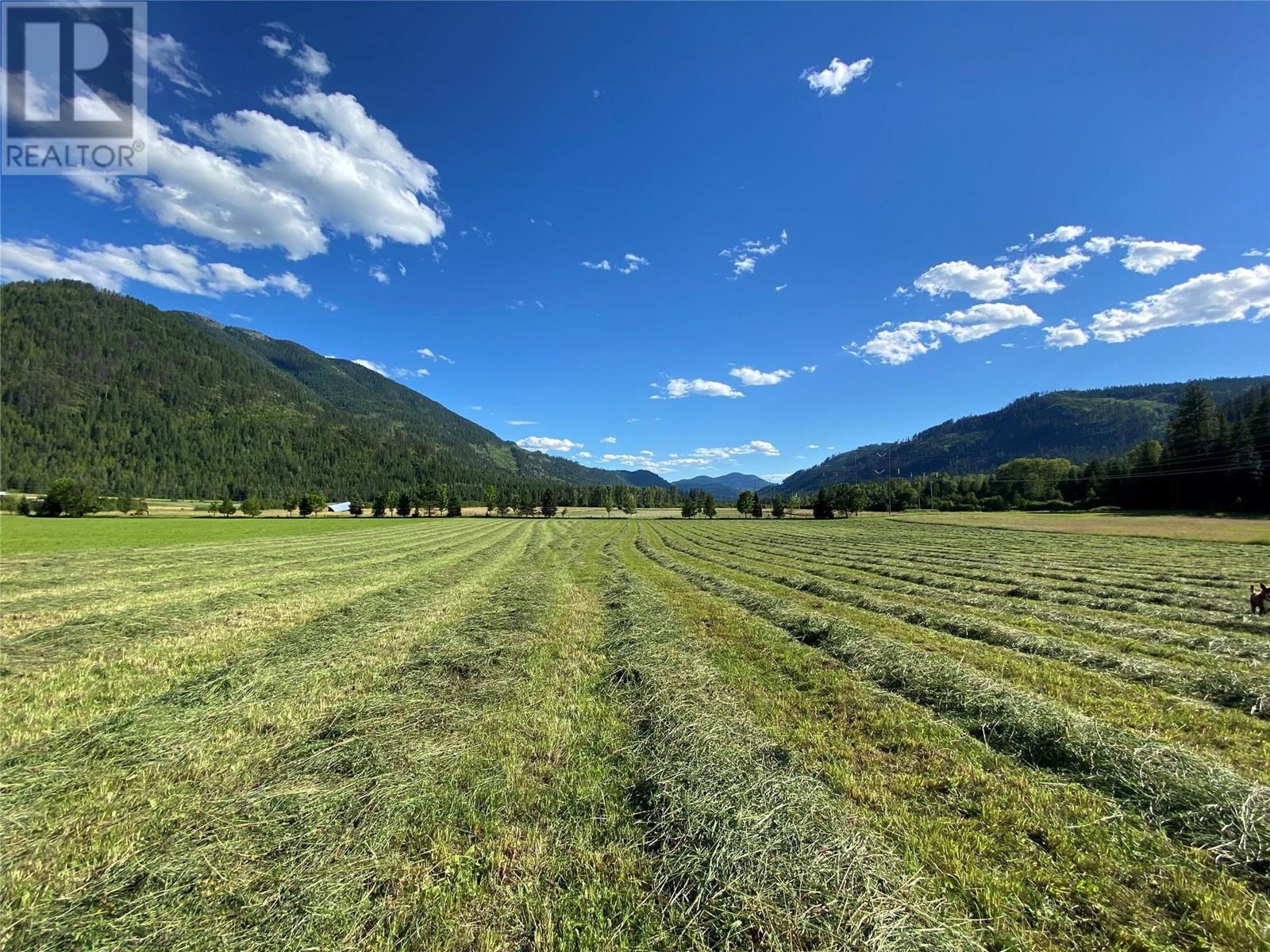 3371 Highway 3b Highway, Fruitvale, British Columbia  V0G 1L1 - Photo 73 - 10345823