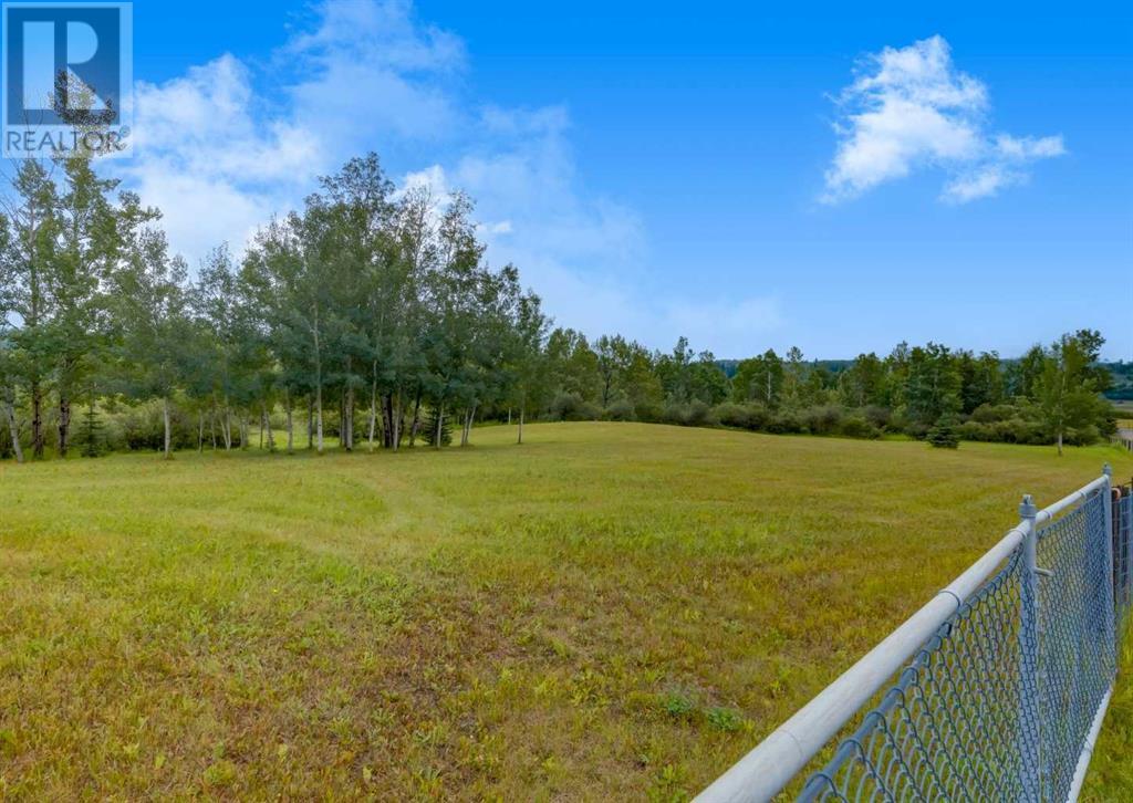 1 Priddis Creek Drive, Rural Foothills County, Alberta  T0L 0K0 - Photo 39 - A2219057