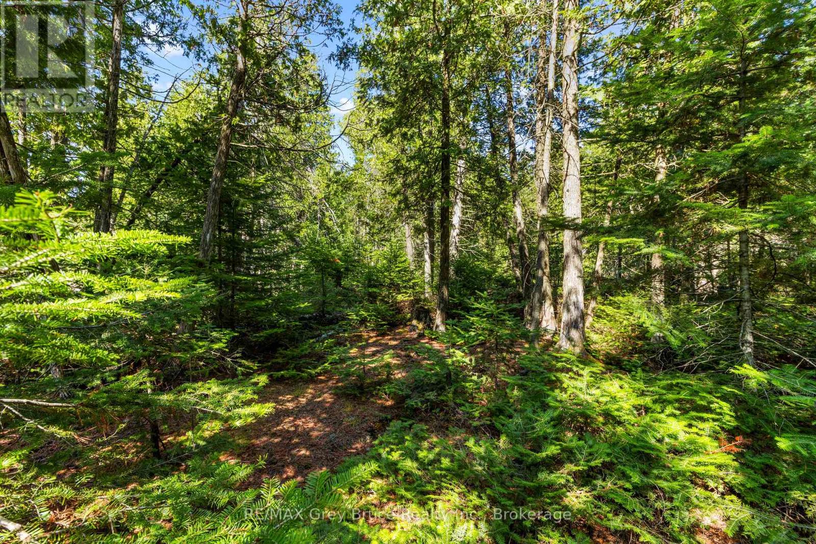 6053 Highway 6, Northern Bruce Peninsula, Ontario  N0H 2R0 - Photo 25 - X12132660
