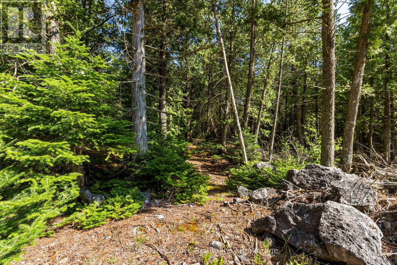 6053 Highway 6, Northern Bruce Peninsula, Ontario  N0H 2R0 - Photo 26 - X12132660