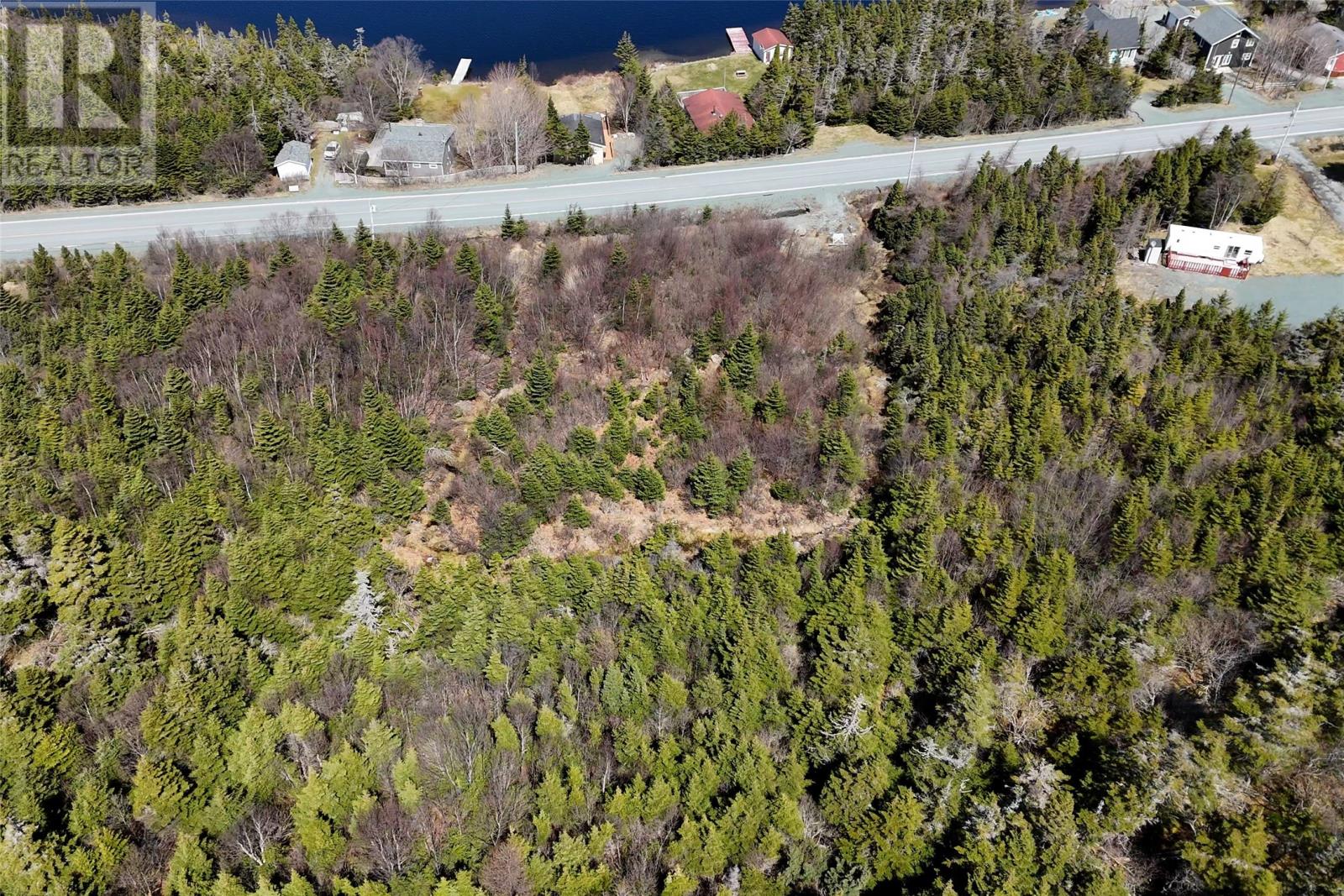 0 Main Highway, Brigus South, Newfoundland & Labrador  A0A 1P0 - Photo 3 - 1284528