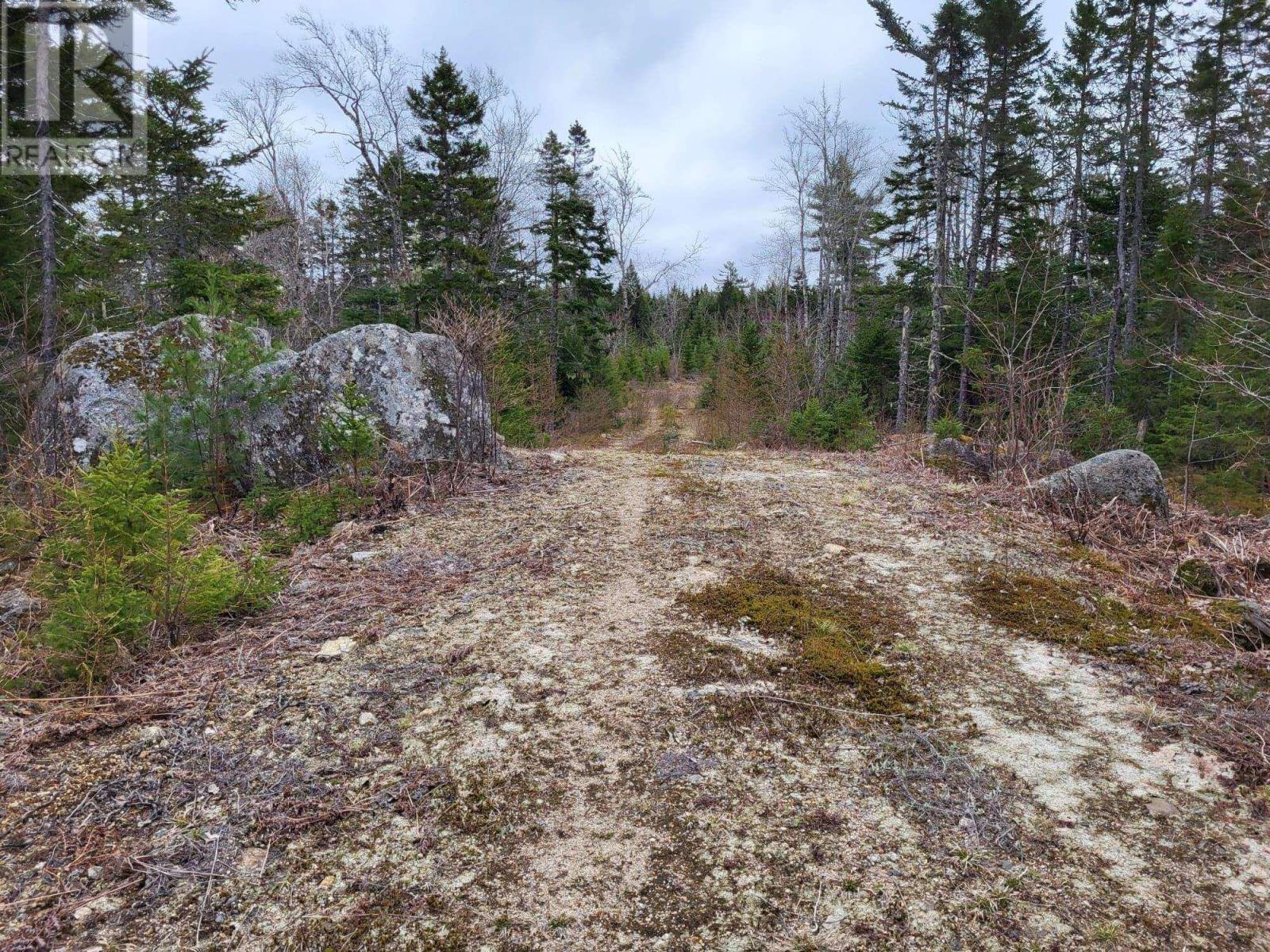 Lot 5a Baillie Lake Road, Virginia, Nova Scotia  B0S 1G0 - Photo 11 - 202510216