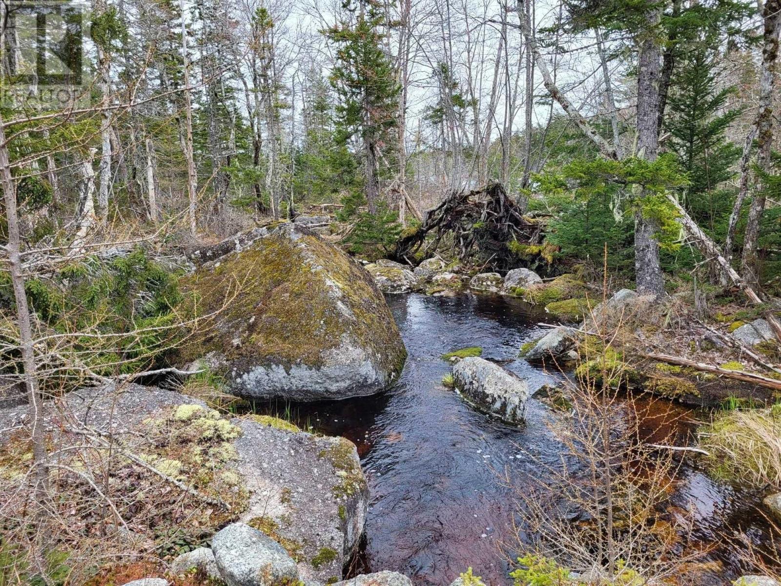 Lot 5a Baillie Lake Road, Virginia, Nova Scotia  B0S 1G0 - Photo 13 - 202510216