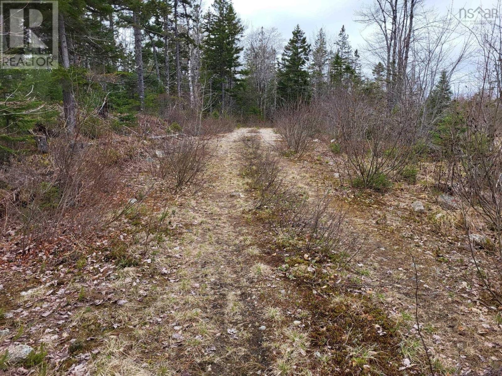 Lot 5a Baillie Lake Road, Virginia, Nova Scotia  B0S 1G0 - Photo 12 - 202510216