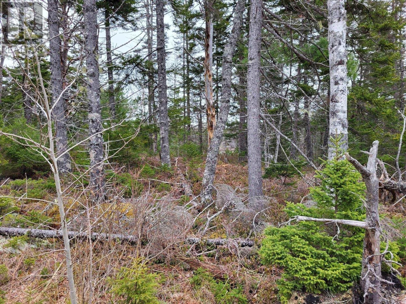 Lot 5a Baillie Lake Road, Virginia, Nova Scotia  B0S 1G0 - Photo 14 - 202510216
