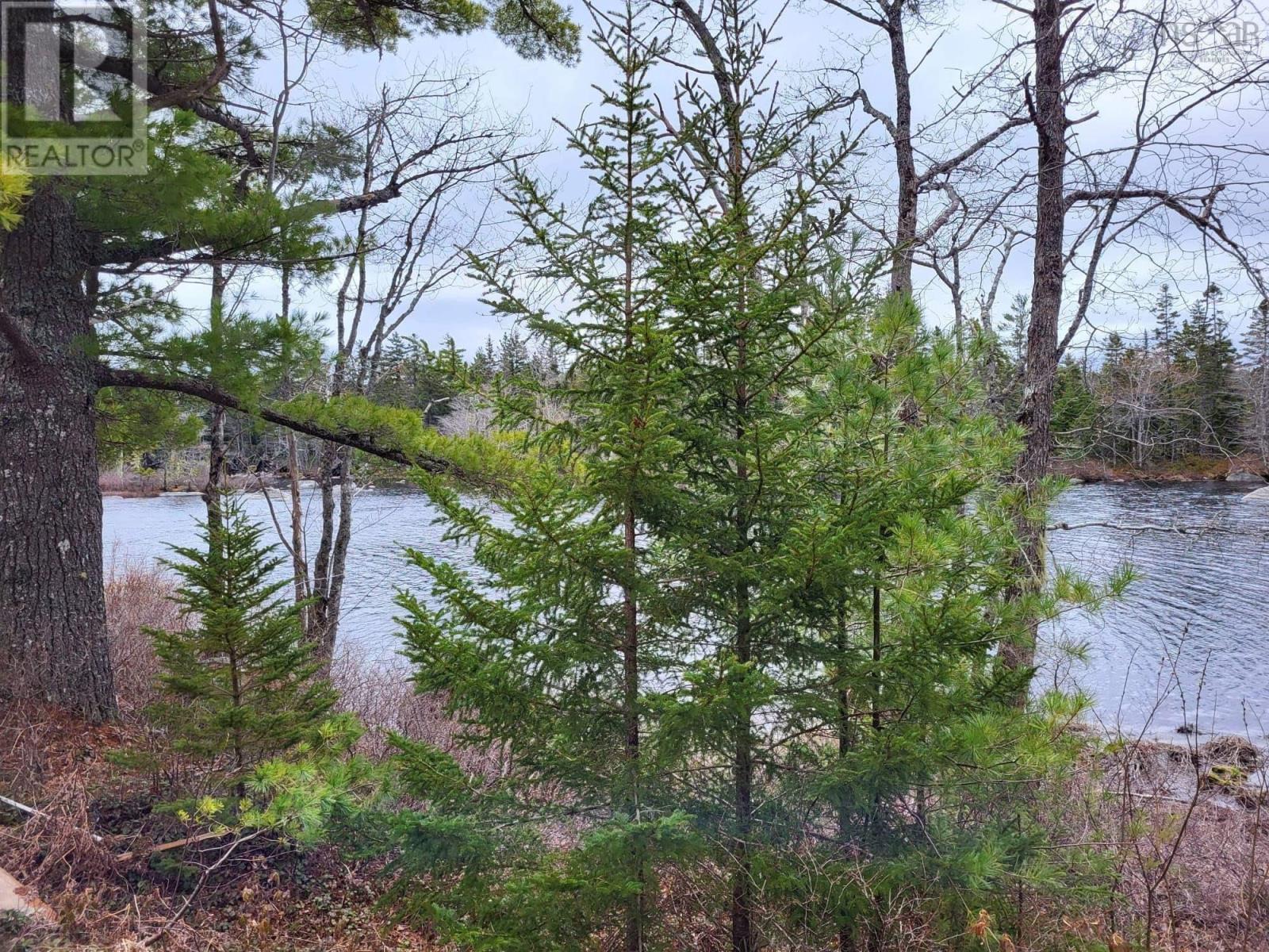 Lot 5a Baillie Lake Road, Virginia, Nova Scotia  B0S 1G0 - Photo 6 - 202510216