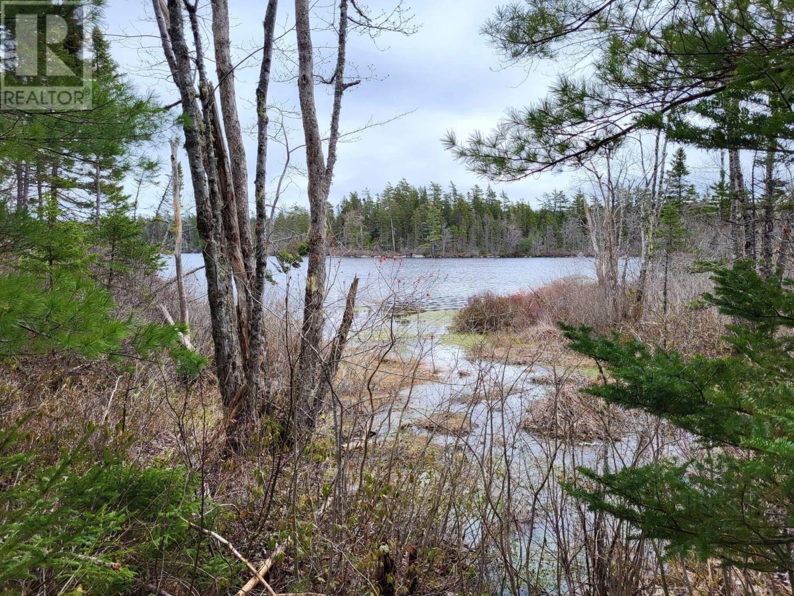 Lot 5a Baillie Lake Road, Virginia, Nova Scotia  B0S 1G0 - Photo 7 - 202510216