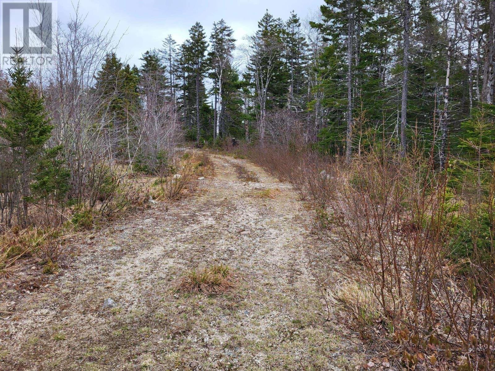 Lot 5a Baillie Lake Road, Virginia, Nova Scotia  B0S 1G0 - Photo 9 - 202510216