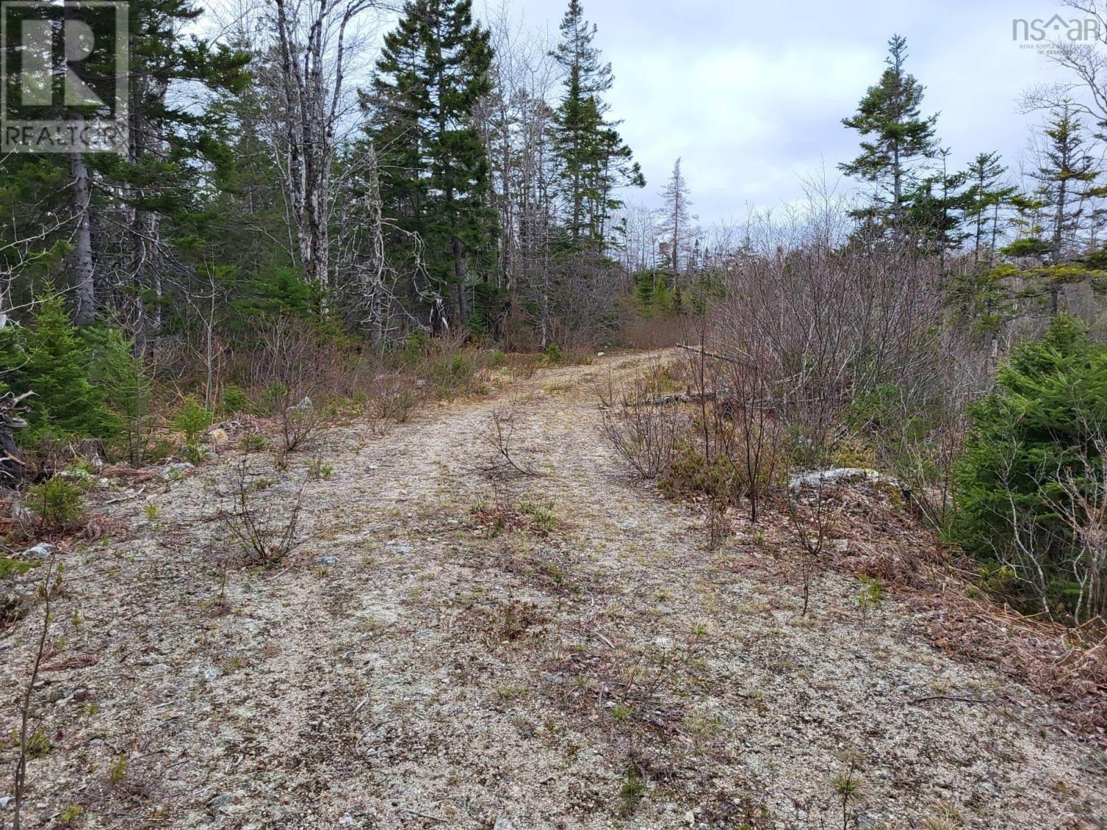 Lot 5a Baillie Lake Road, Virginia, Nova Scotia  B0S 1G0 - Photo 8 - 202510216