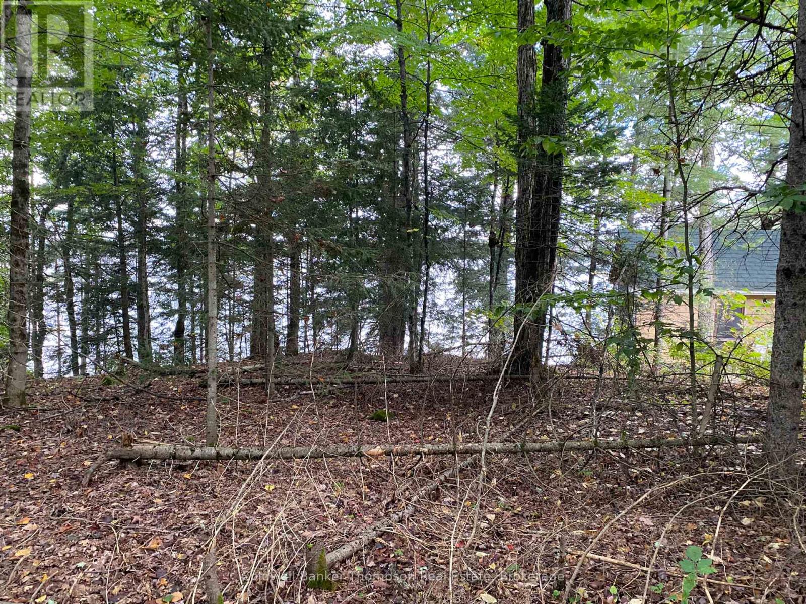 1080 Healey Lake Road, Bracebridge, Ontario  P1L 1X3 - Photo 23 - X12009665