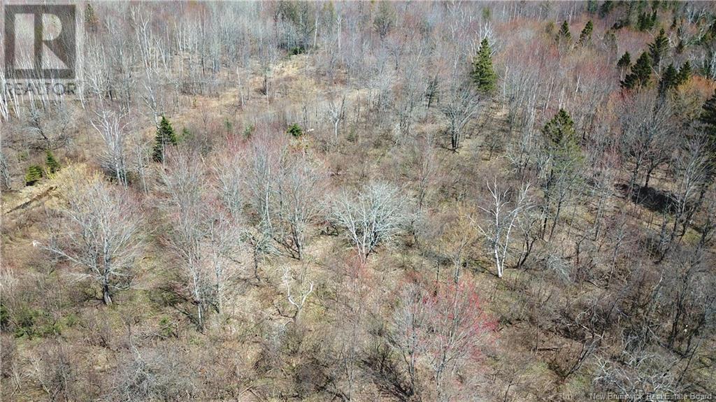 Lot 91-5 Cape Road, Newburg, New Brunswick  E7N 1W3 - Photo 5 - NB117203