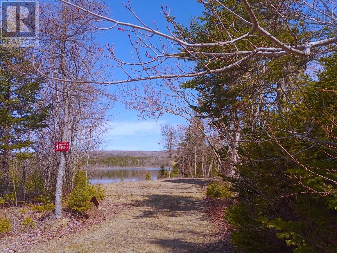 12 Jonny Cash Lane, Juniper Mountain, Nova Scotia  B1K 0C2 - Photo 18 - 202510133