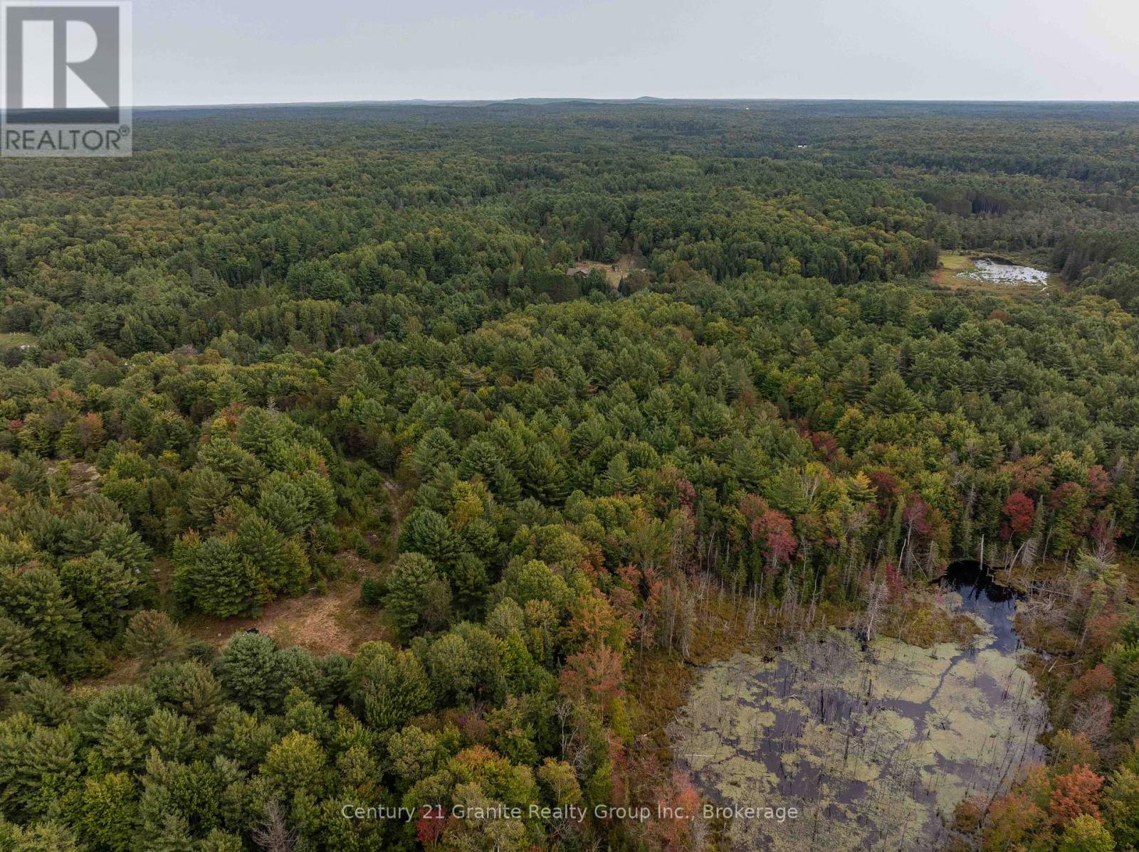 4729 County Road 121, Minden Hills, Ontario  K0M 2K0 - Photo 7 - X12132890