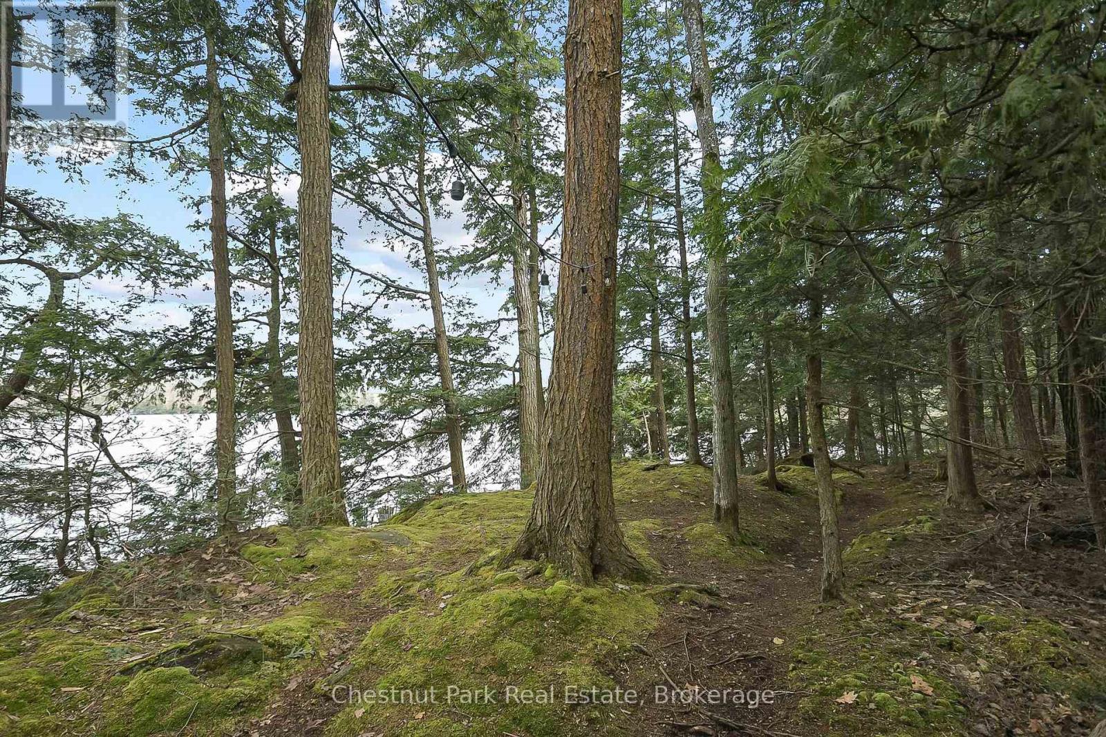 10 - 1058 Sands Road, Muskoka Lakes, Ontario  P0B 0A4 - Photo 23 - X12132954