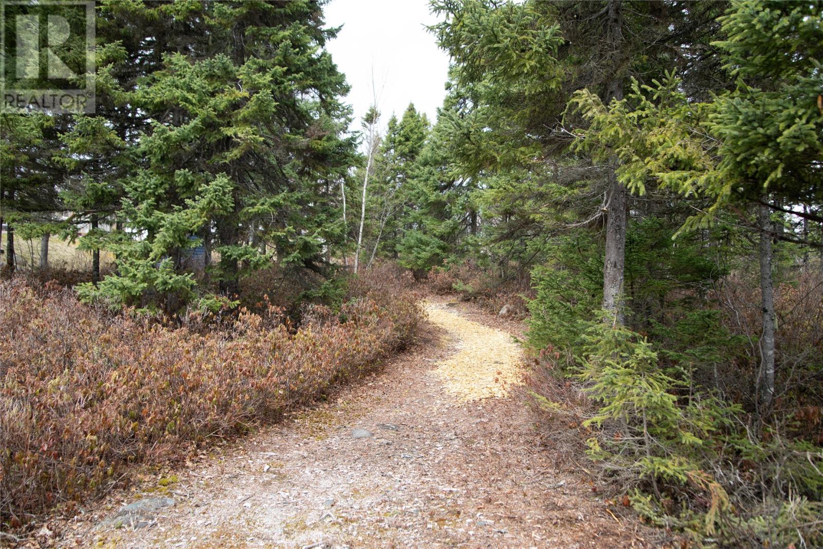 24 Alexander Crescent, Glovertown, Newfoundland & Labrador  A0G 2L0 - Photo 33 - 1284434