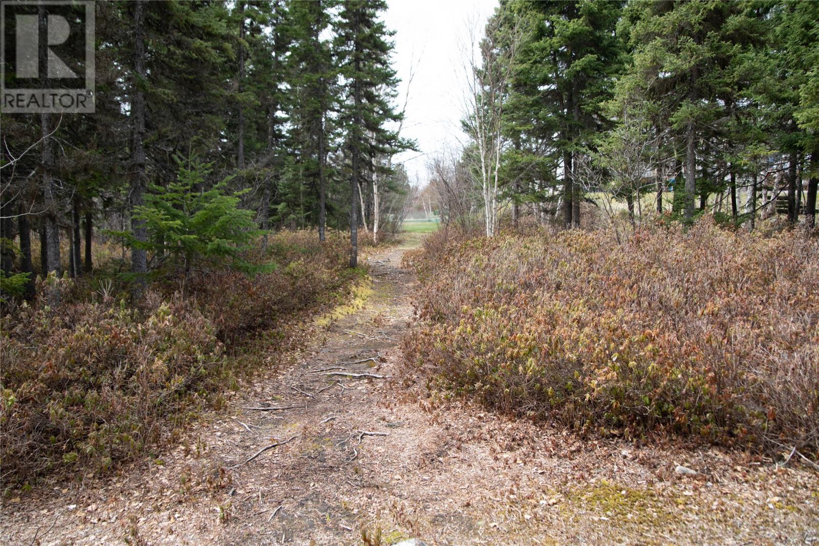 24 Alexander Crescent, Glovertown, Newfoundland & Labrador  A0G 2L0 - Photo 34 - 1284434