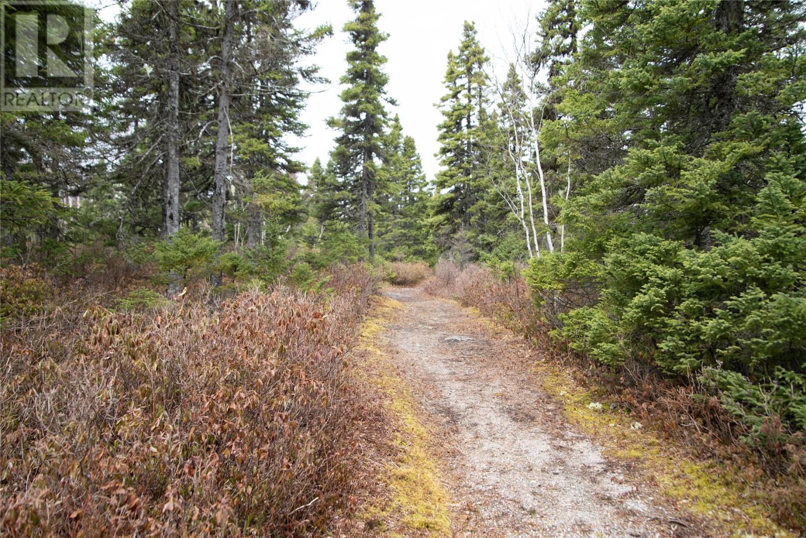 24 Alexander Crescent, Glovertown, Newfoundland & Labrador  A0G 2L0 - Photo 35 - 1284434