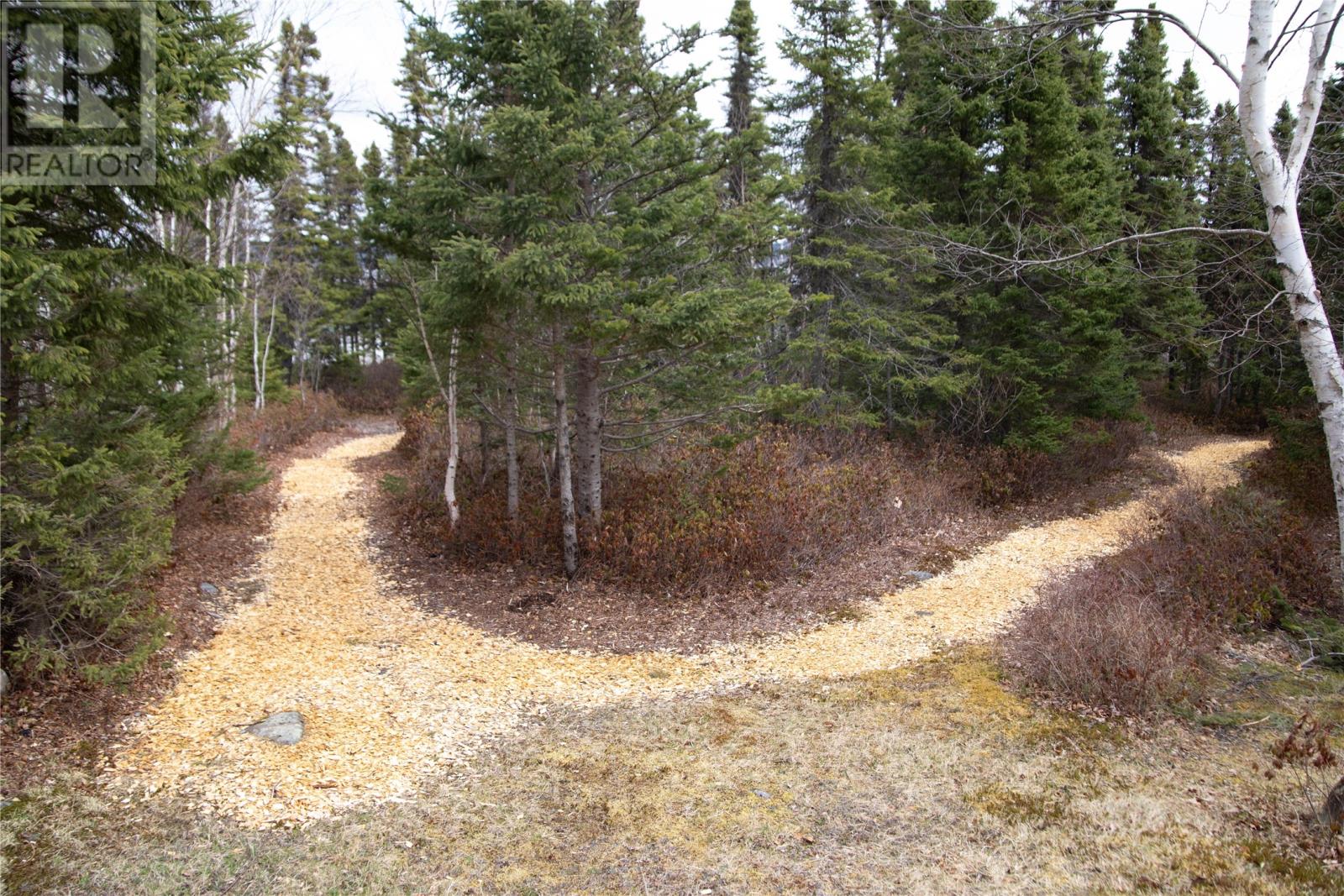 24 Alexander Crescent, Glovertown, Newfoundland & Labrador  A0G 2L0 - Photo 36 - 1284434