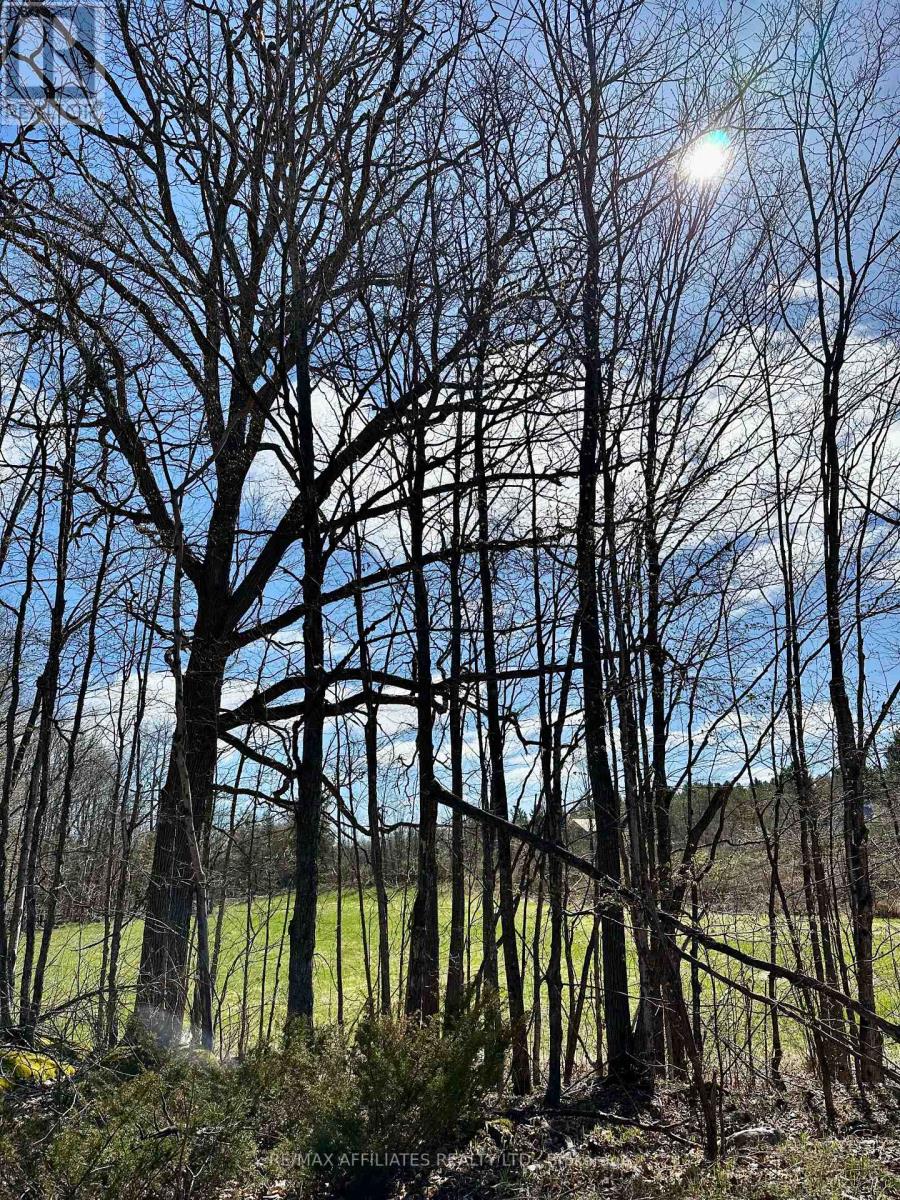 00 Long Lake Road, Central Frontenac, Ontario  K0H 2E0 - Photo 11 - X12133009