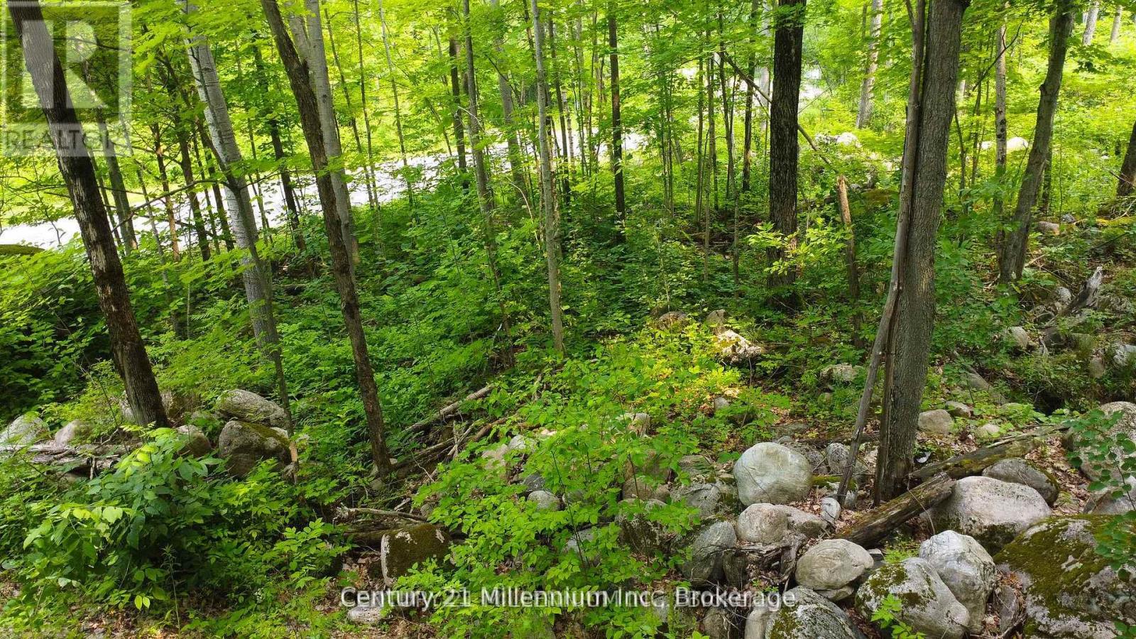 Lot 52 Tiny Beaches Road N, Tiny, Ontario  L9M 0H8 - Photo 7 - S12133077