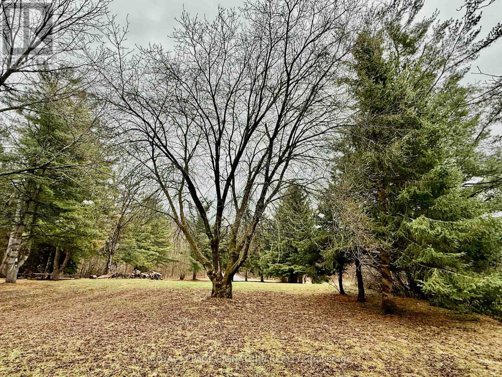 73 Camp Lane, Centre Hastings, Ontario  K0K 3J0 - Photo 9 - X12098711