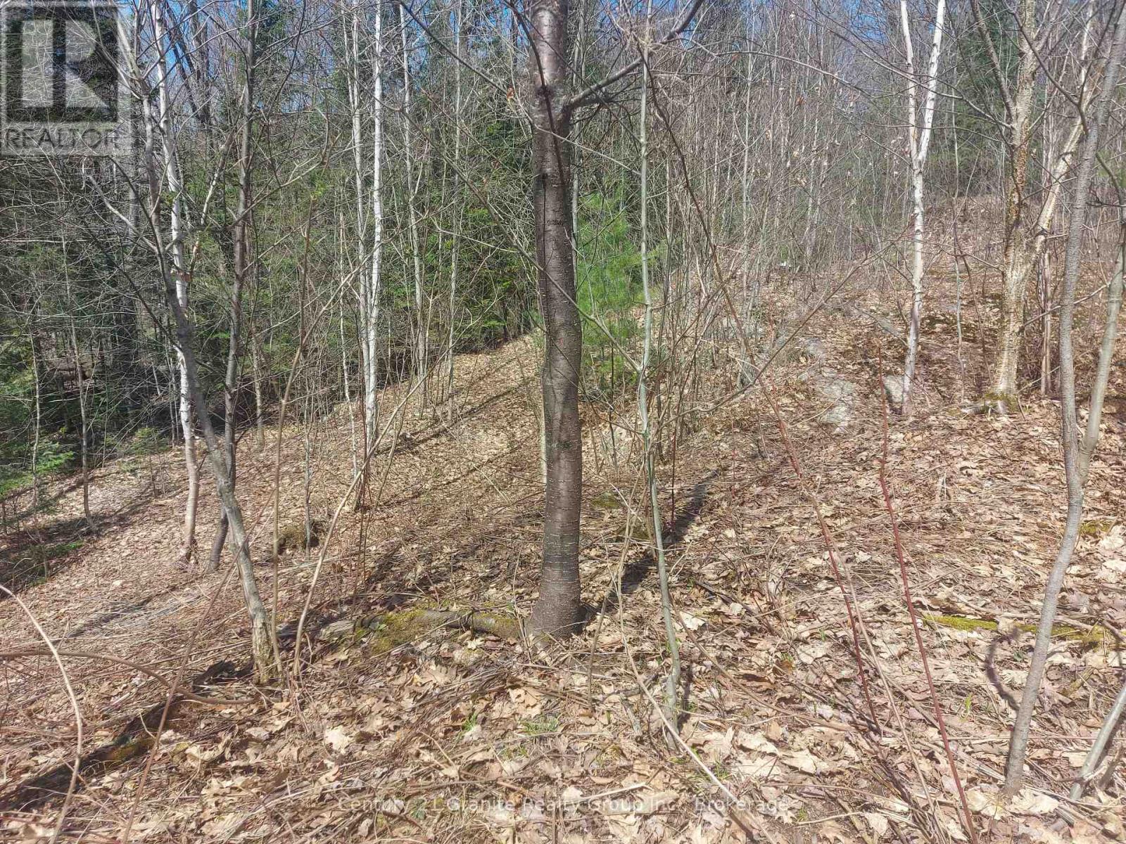 1145 Little Hawk Lake Road, Algonquin Highlands, Ontario  K0M 1S0 - Photo 12 - X12133050