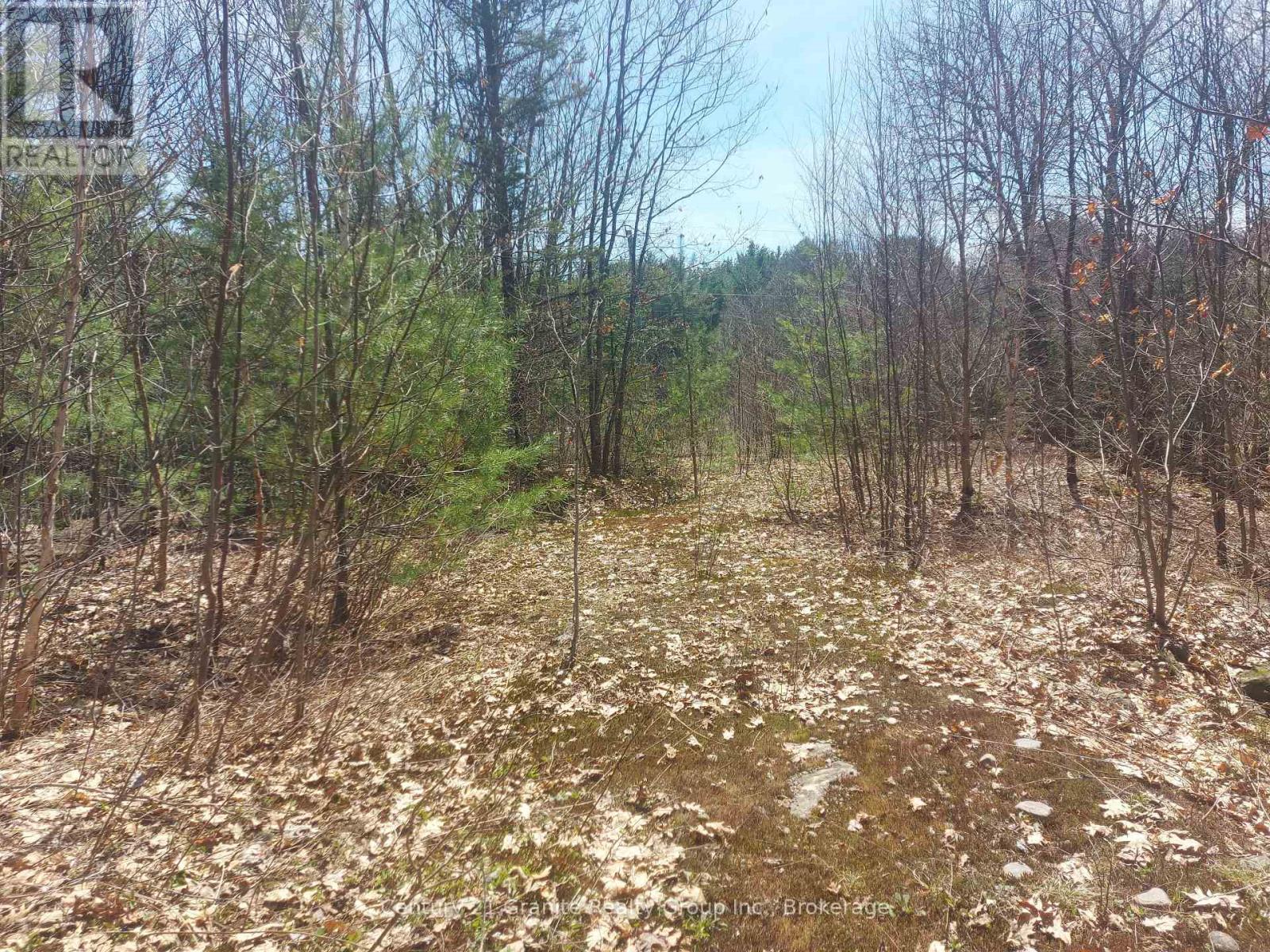 1145 Little Hawk Lake Road, Algonquin Highlands, Ontario  K0M 1S0 - Photo 15 - X12133050