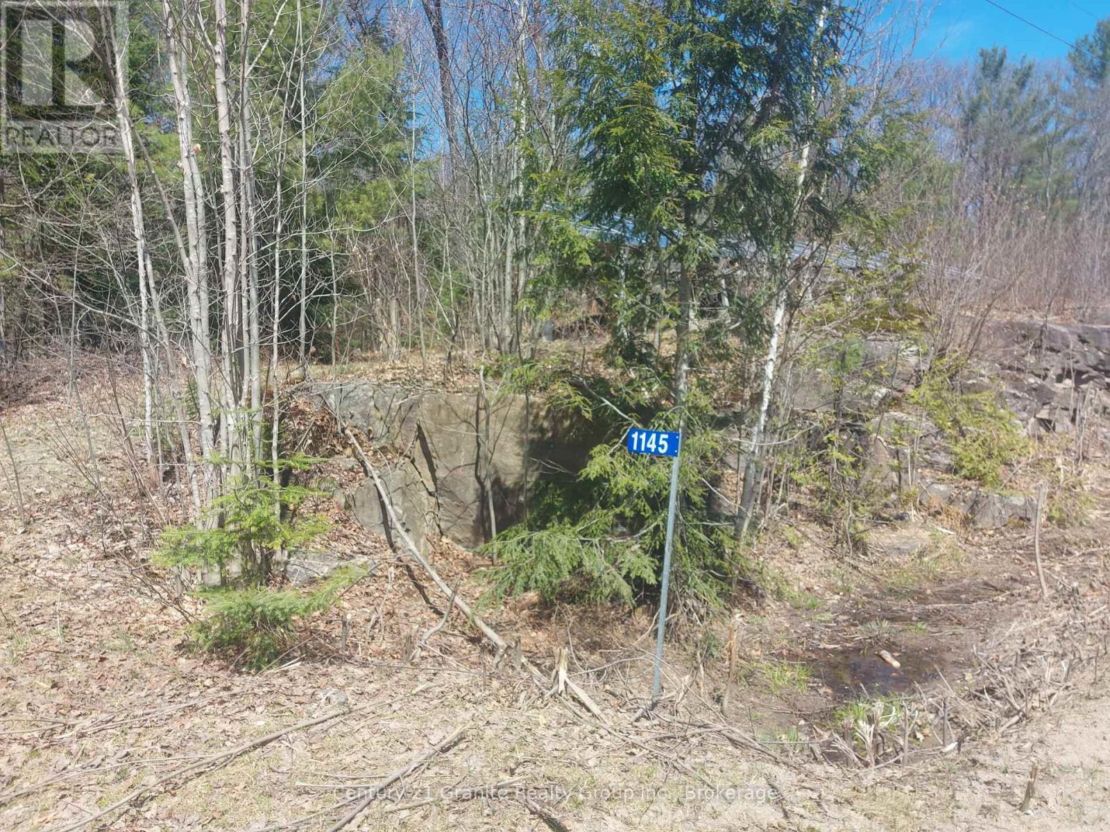 1145 Little Hawk Lake Road, Algonquin Highlands, Ontario  K0M 1S0 - Photo 21 - X12133050