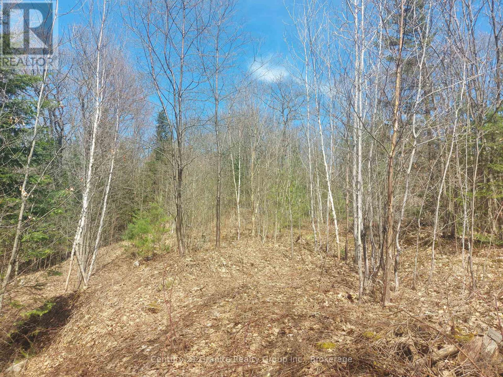 1145 Little Hawk Lake Road, Algonquin Highlands, Ontario  K0M 1S0 - Photo 9 - X12133050