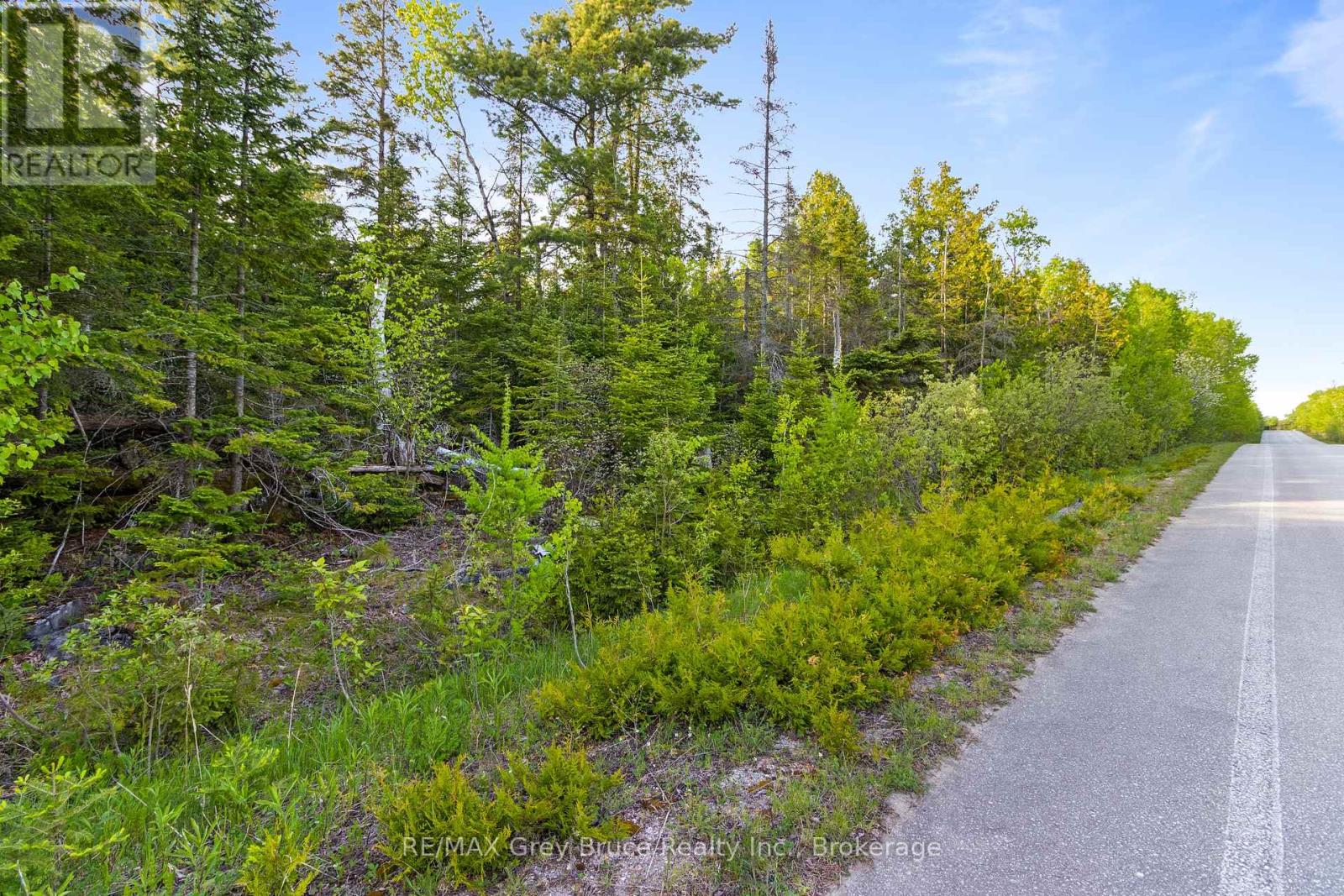 Part Farm Lot 4 Chi Sin Tib Dek Road, Northern Bruce Peninsula, Ontario  N0H 2R0 - Photo 14 - X12133242