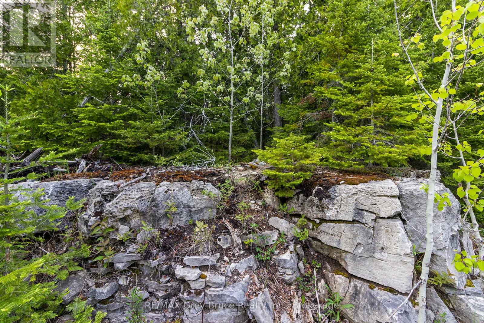 Part Farm Lot 4 Chi Sin Tib Dek Road, Northern Bruce Peninsula, Ontario  N0H 2R0 - Photo 5 - X12133242