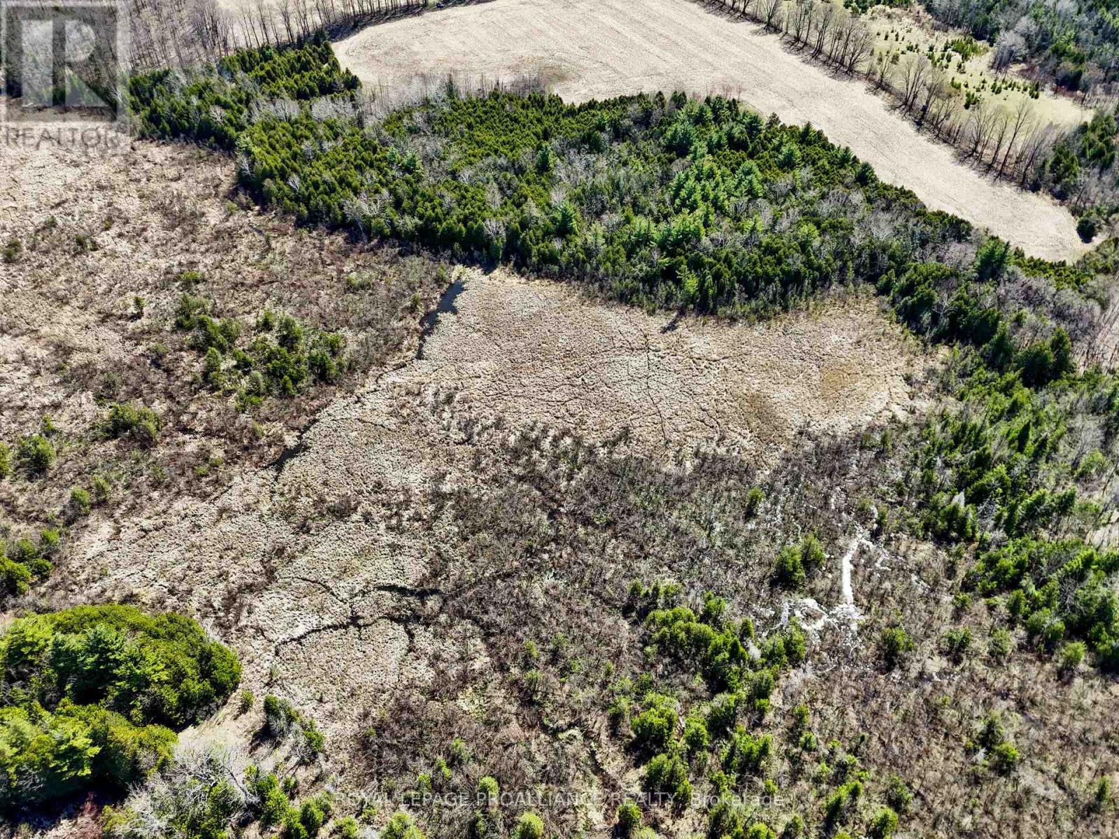 Pt Lt 16 -17 Mcdonald Road, Alnwick/haldimand, Ontario  K0K 2X0 - Photo 12 - X12133117