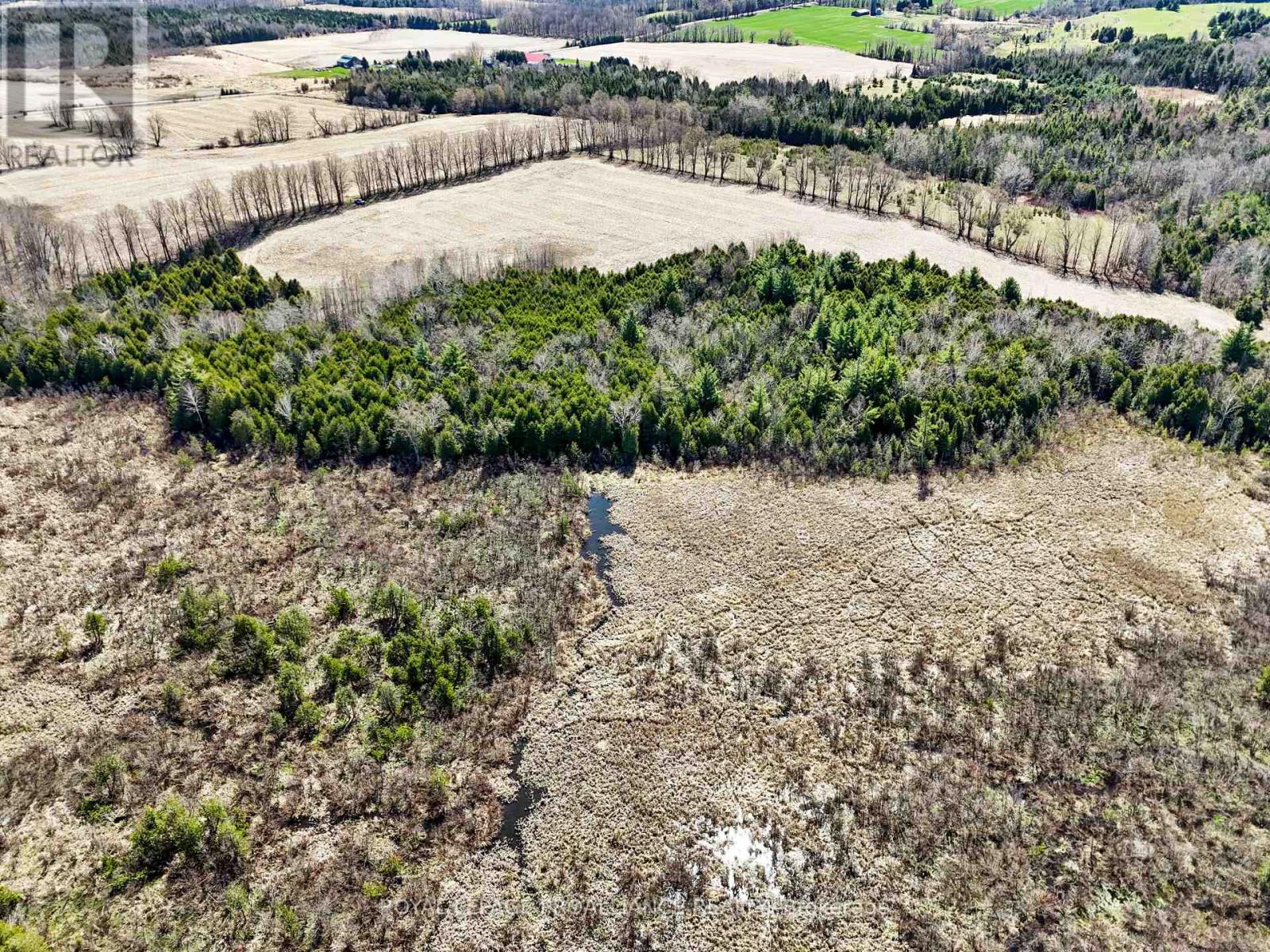 Pt Lt 16 -17 Mcdonald Road, Alnwick/haldimand, Ontario  K0K 2X0 - Photo 14 - X12133117