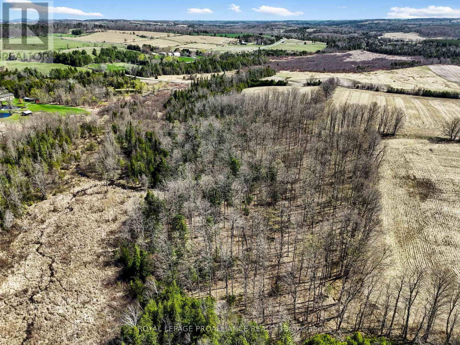 Pt Lt 16 -17 Mcdonald Road, Alnwick/haldimand, Ontario  K0K 2X0 - Photo 17 - X12133117