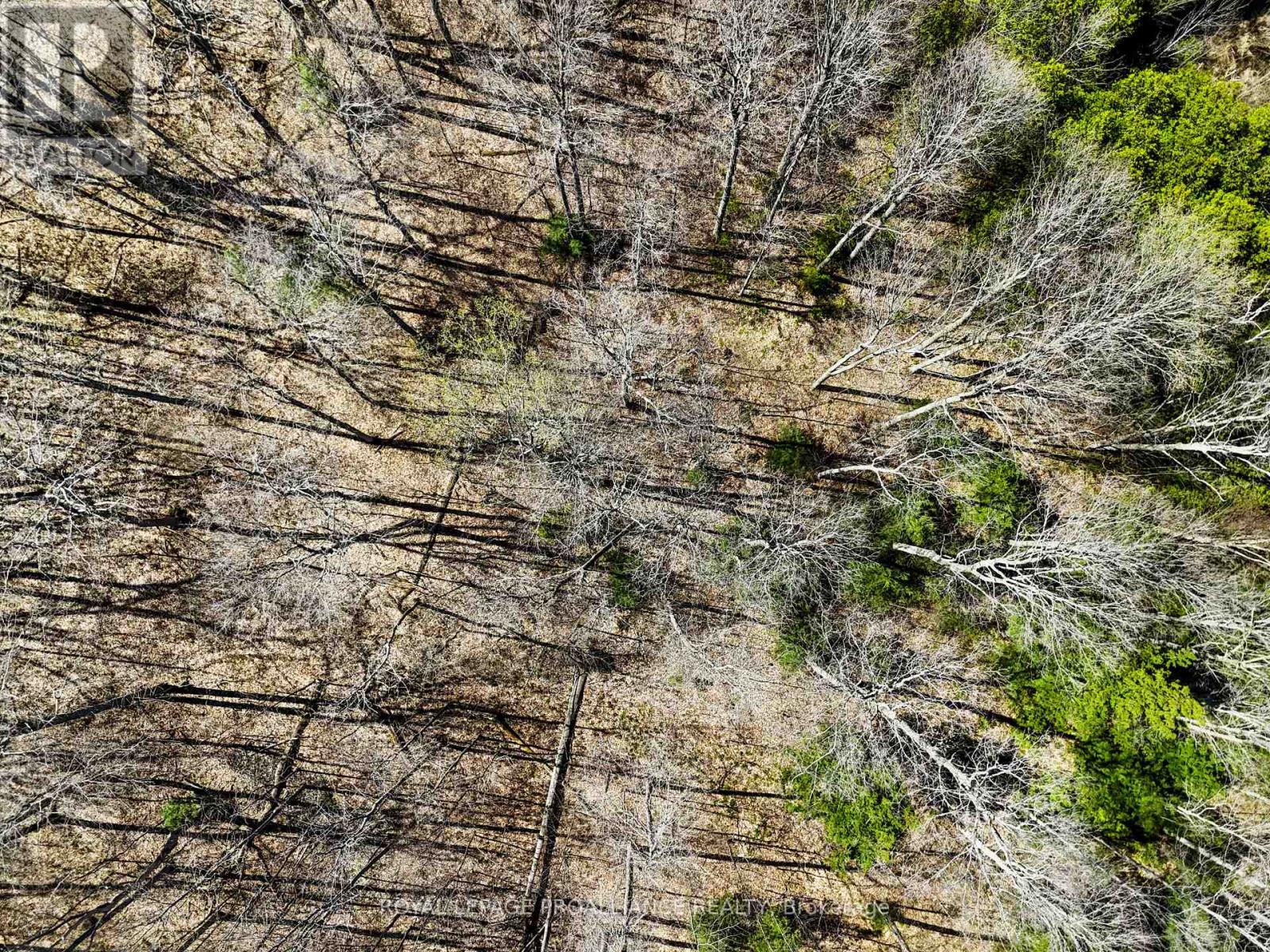 Pt Lt 16 -17 Mcdonald Road, Alnwick/haldimand, Ontario  K0K 2X0 - Photo 24 - X12133117