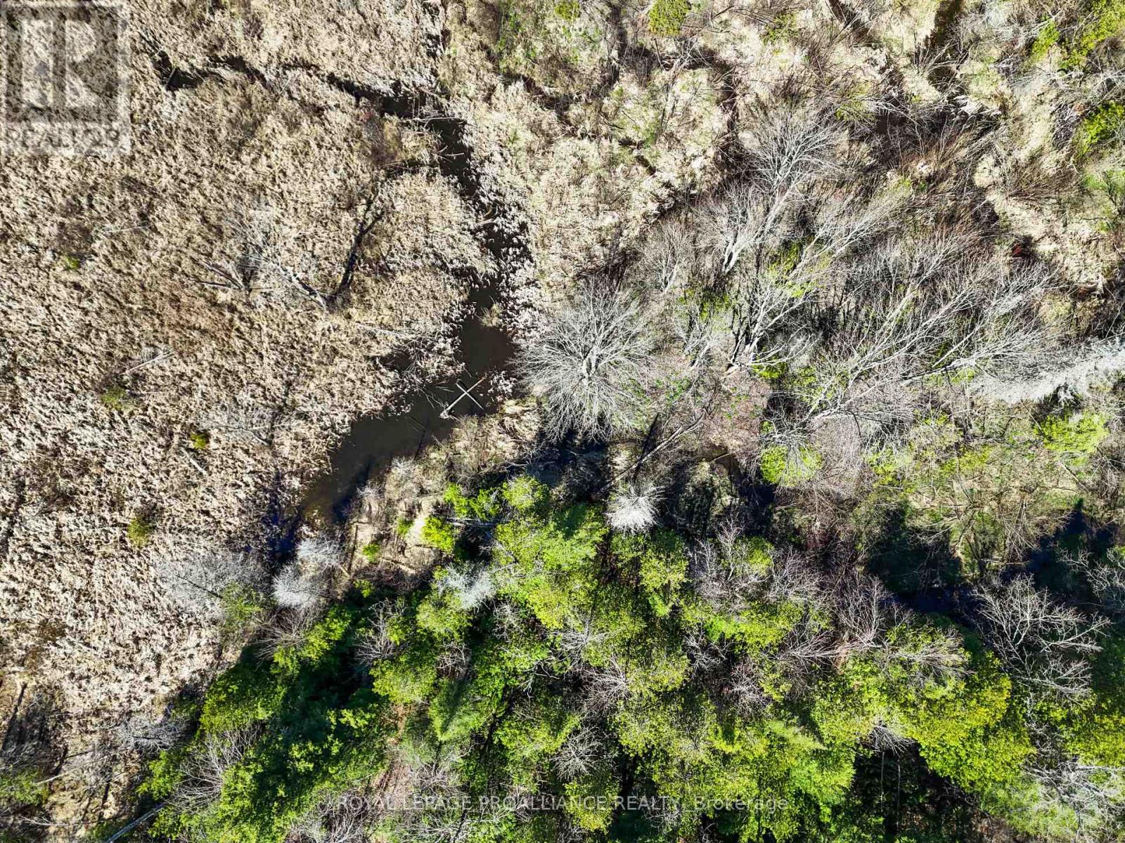 Pt Lt 16 -17 Mcdonald Road, Alnwick/haldimand, Ontario  K0K 2X0 - Photo 25 - X12133117