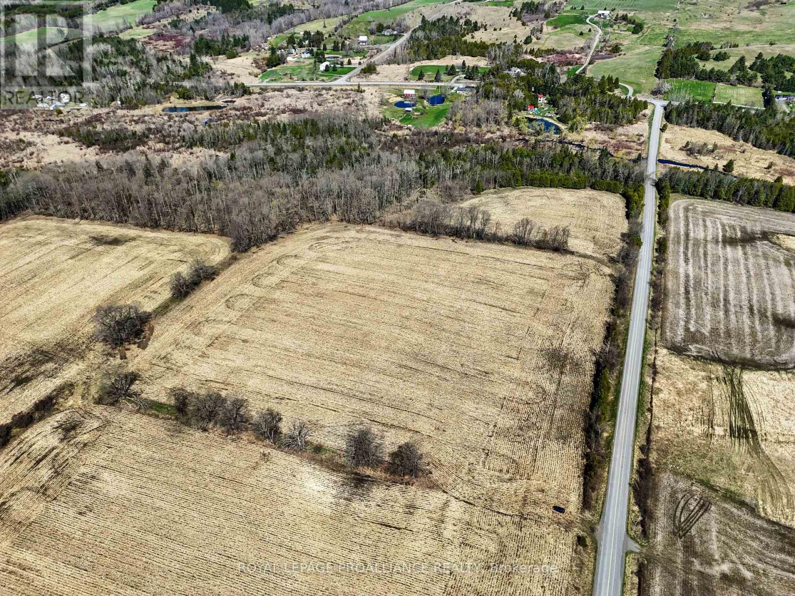 Pt Lt 16 -17 Mcdonald Road, Alnwick/haldimand, Ontario  K0K 2X0 - Photo 7 - X12133117