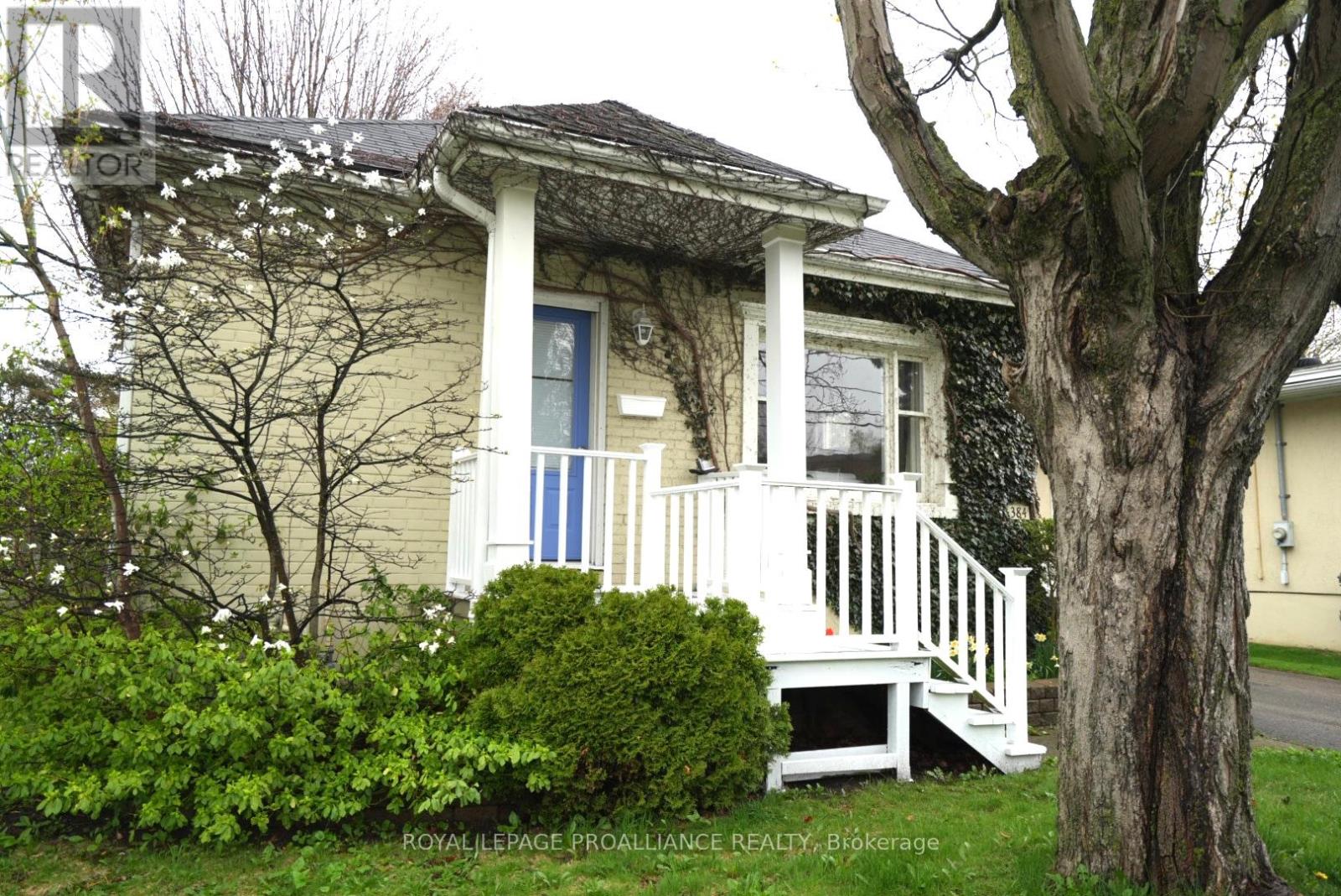 Property at 384 D'ARCY STREET image 3