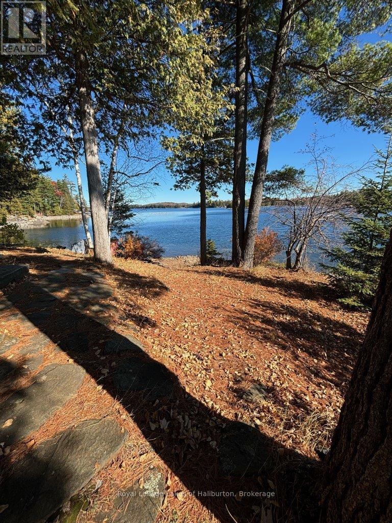 96 Pine Point Trail, Trent Lakes, Ontario  K0M 2A0 - Photo 10 - X12124717