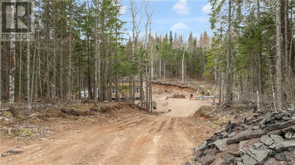 599 Parkindale Road, Parkindale, New Brunswick  E4Z 3B2 - Photo 3 - NB117131