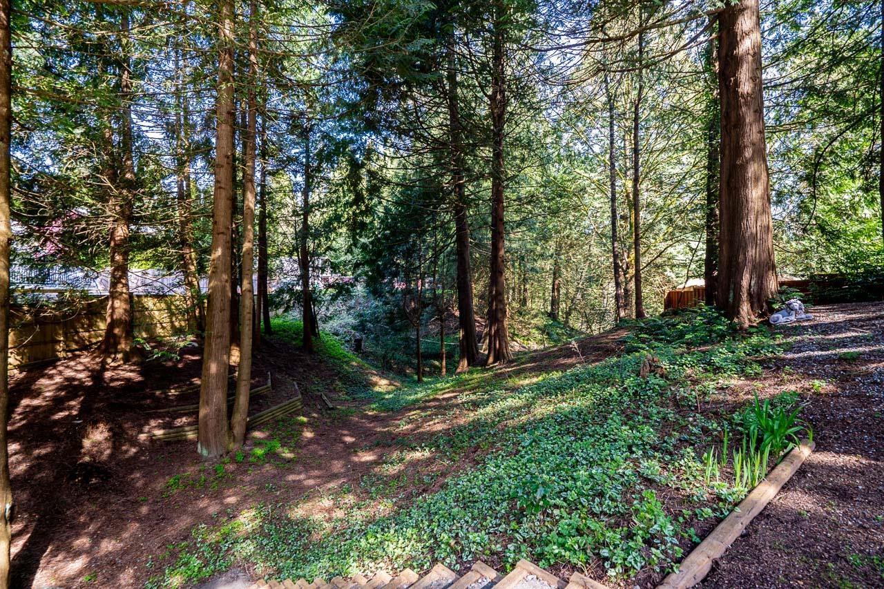 19683 42 Avenue, Langley, British Columbia  V3A 3A4 - Photo 35 - R2987014