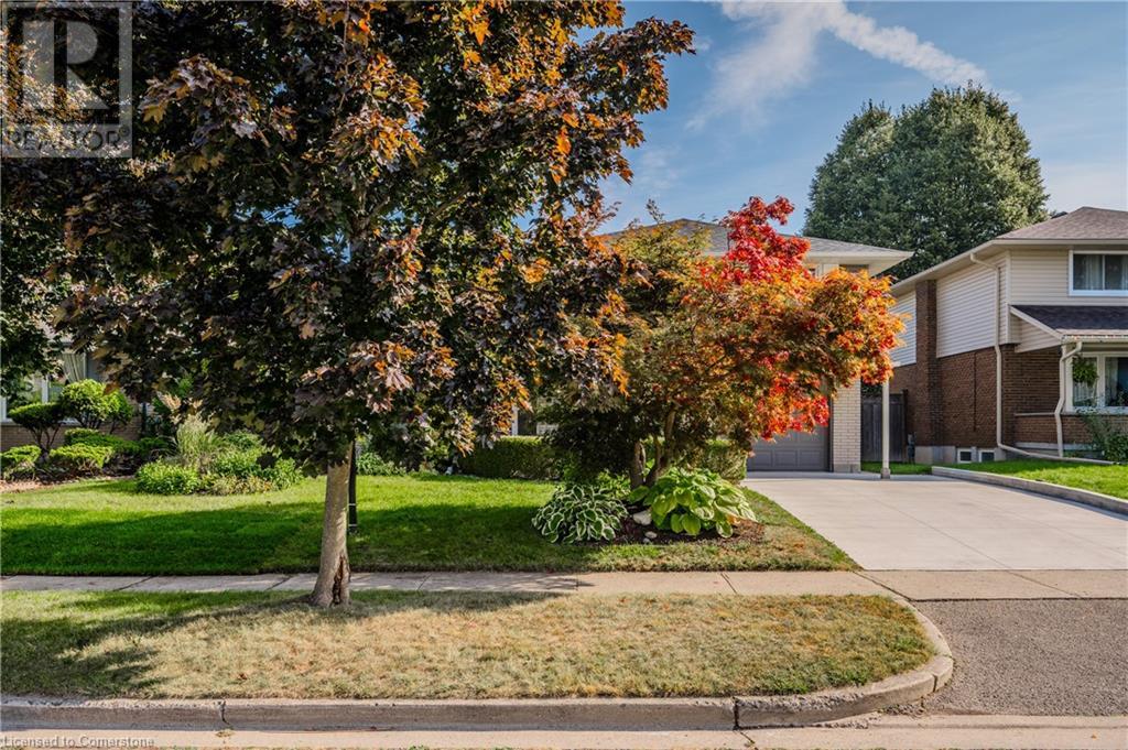 Property at 103 GAY Crescent image 5