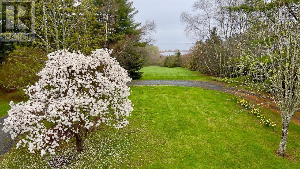 36 Whitetail Lane, Maders Cove, Nova Scotia  B0J 2E0 - Photo 5 - 202506650