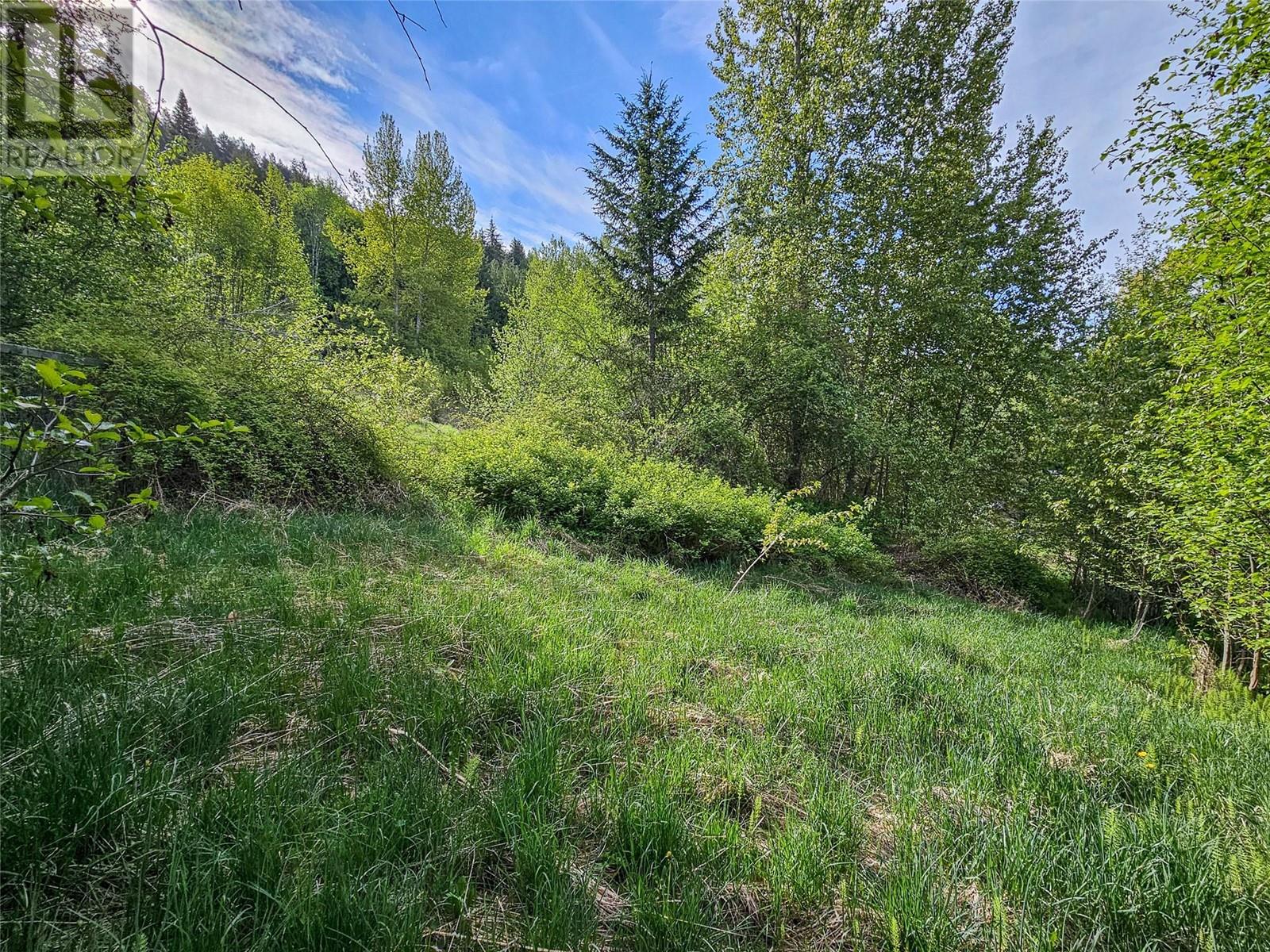 1204 Mountain Road, Nelson, British Columbia  V1L 2J3 - Photo 11 - 10340945