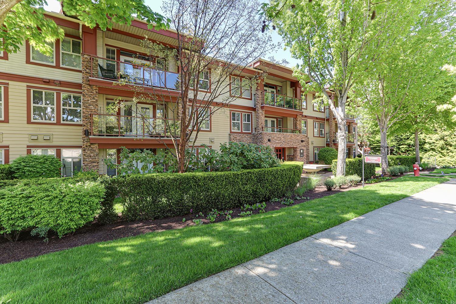 110 3355 Rosemary Heights Drive, Surrey, British Columbia  V3S 2H5 - Photo 1 - R2998744