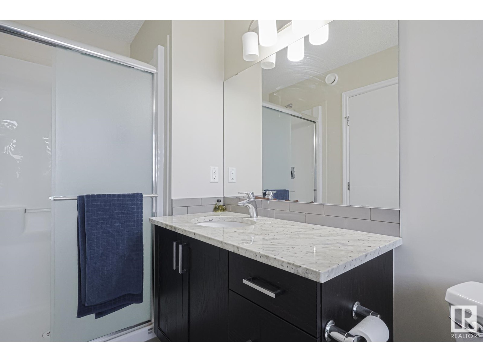 1707 27 St Nw, Edmonton, Alberta  T6T 2G6 - Photo 18 - E4434710